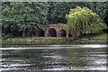 False Bridge, Wollaton Park