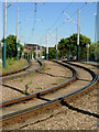 Tram tracks, Whitemoor