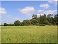 SU8678 : Farmland, Woodlands Park by Andrew Smith