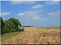 Fallow farmland, Cox Green