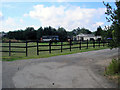 Horses at Sheridan Farm