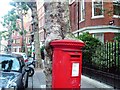 The lesser spotted postbox eating tree II