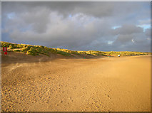 TQ9518 : Camber Sands by Simon Carey