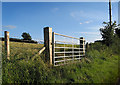 Gate and sky