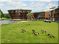 SK5439 : Jubilee Campus, Nottingham University by Stephen McKay