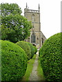 Path between the box topiary