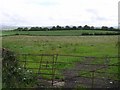 Muir Townland