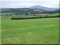 View to Morven