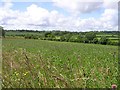 Killycowan Townland