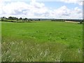 Kildowney Townland