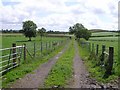 Lane at Tullyreagh