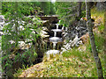 Fish ladder, Linn of Muick