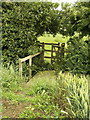 Path Kissing Gate