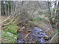 Craigmoston Burn - view upstream