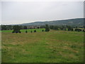 Footpath in Weston Park