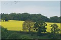 Green and Yellow and Blue, Onesacre, near Oughtibridge