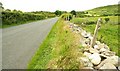 The Leitrim Road near Castlewellan