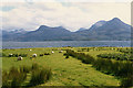 NG8457 : Grazing at Inveralligin by Nigel Brown
