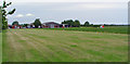 Pick Your Own Strawberries Field, Grange Farm