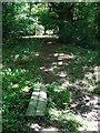 Plank bridge over small stream at Langhurst Common