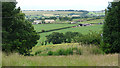 Stainborough Fold viewed from Stainborough Castle