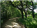 Track to High Buildings Farm