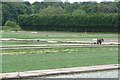 Vitacress, watercress production