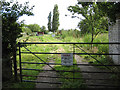 Allotments, Swindon Village