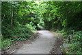 On the Plym Valley Cycleway