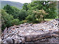 Ruin of Rigg Beck