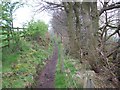 Above North Dean Wood, on Calderdale Way