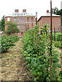 West Lodge - 19th century walled kitchen garden