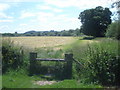 Riverside path on Bartonsham Farm - 1