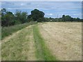 Riverside path on Bartonsham Farm - 3