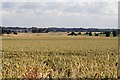 Looking towards Landermere Quay