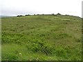 Derrychulloo Townland