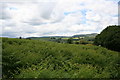 Moorland above the road.