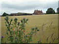 Across the field to Astley