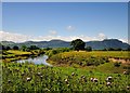 SJ3118 : Afon Efyrnwy - River Vyrnwy, Looking South by Rod Trevaskus