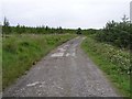 G9561 : Road at Derrykillew by Kenneth  Allen