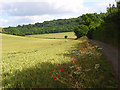 Farmland, Radnage