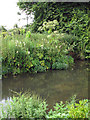 View across the River Bure