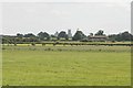 Ely Cathedral across the fens