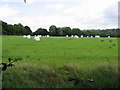 Hay harvest bagged up