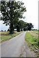 Country Road in deepest Suffolk