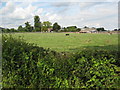 Sacksfield Farm near Staunton