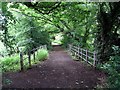 Footbridge over stream