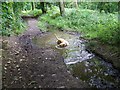 Permissive path in South Hill Copse