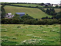 View from the chapel at Cippyn