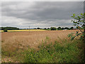 View towards Portway